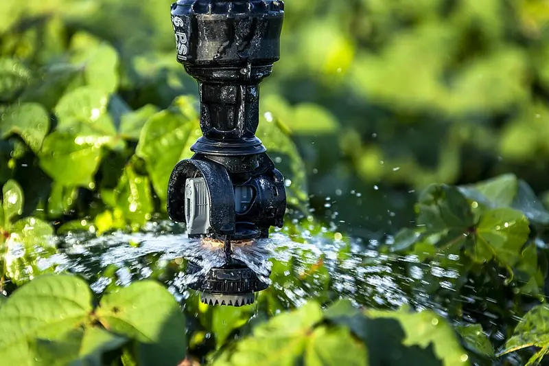 Emissor de baixa pressão irrigando plantas junto ao solo